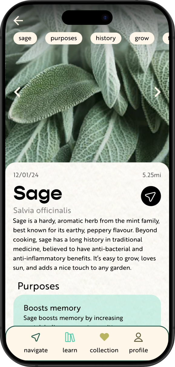 The Healing Garden plant ID page