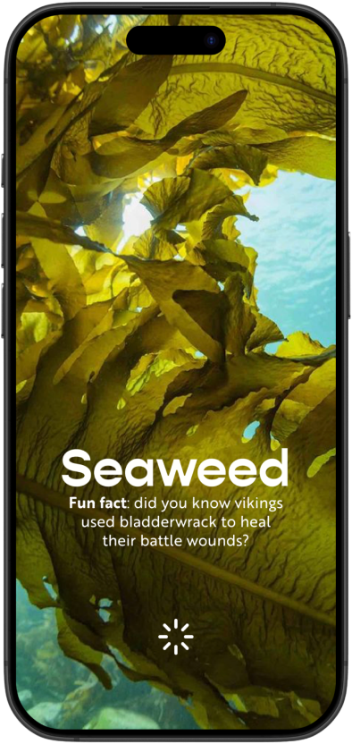 App screen 3