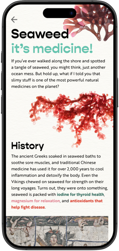 App screen 4
